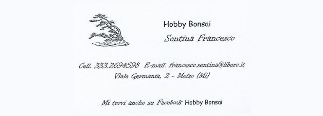Hobby Bonsai